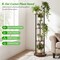 RGB Lighted Plant Stand 6-Tier Vertical Shelf with APP Remote Control